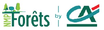 Logo NMP Forêts