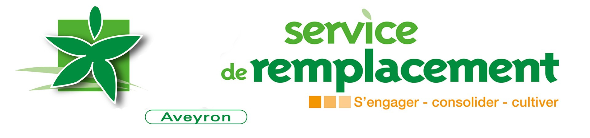 Service Remplacement
